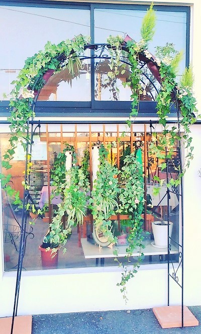 GNXeAO[@ACr[AwfȂǂŖډBBO[J[e莩RɗΉŃK[fjOy߂܂B[YA[`łǂły߂t@Xi[O[